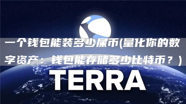 一个钱包能装多少屎币 - 量化你的数字资产：钱包能存储多少比特币？